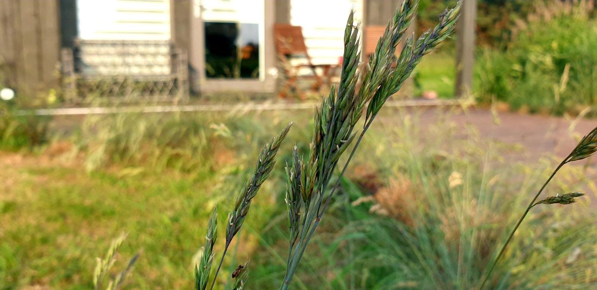 Anna'S Home Jurmalciems Esterno foto